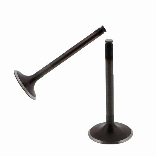 Kit valvola aspirazione - , +